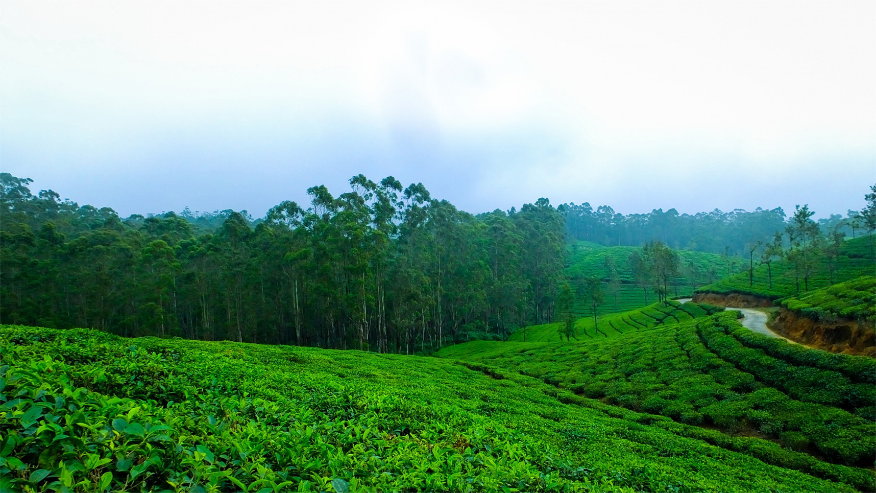 forestsyde_projects_in_igatpuri